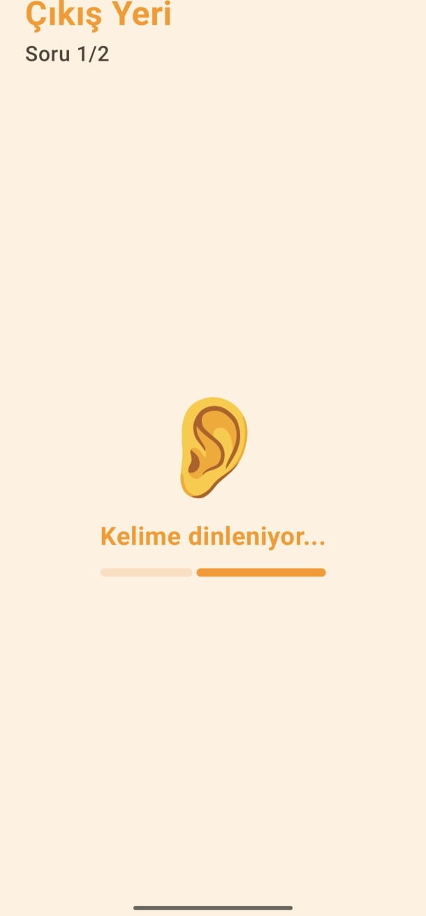 LinguaSense Görsel 2